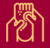 foot